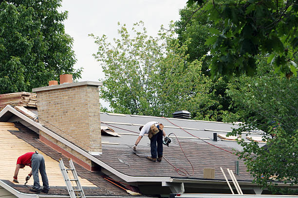 Best Roof Insulation Installation  in Und City, MO